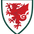 The Football Association of Wales Trust
